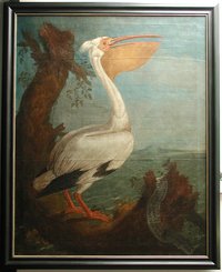 Gemälde eines Pelikans